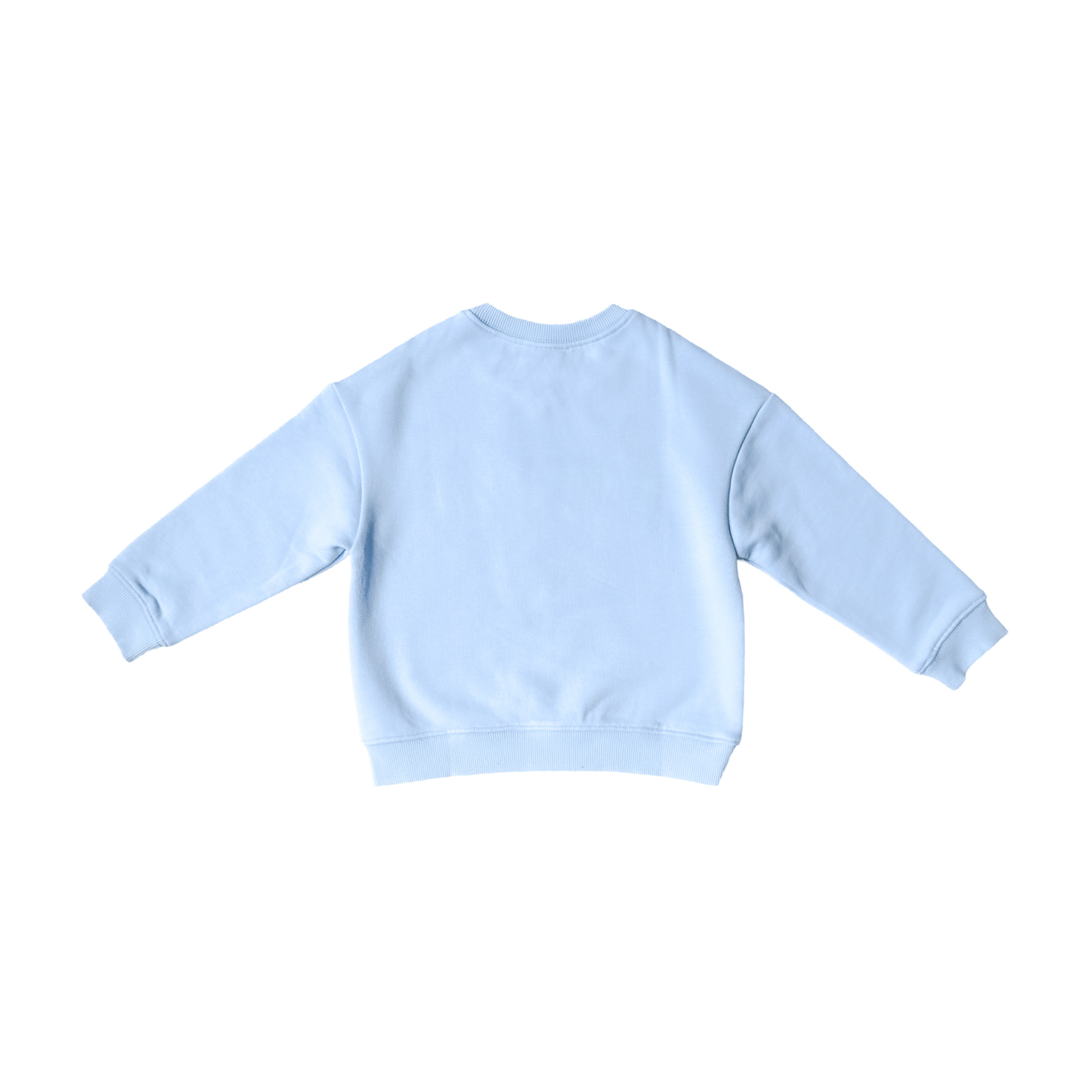 Big Bro Sweatshirt (sizes 12m - 8)