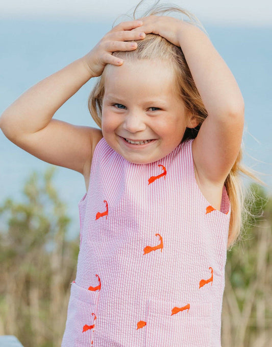 Pink Seersucker Dress with Pink Embroidered Cape Cods