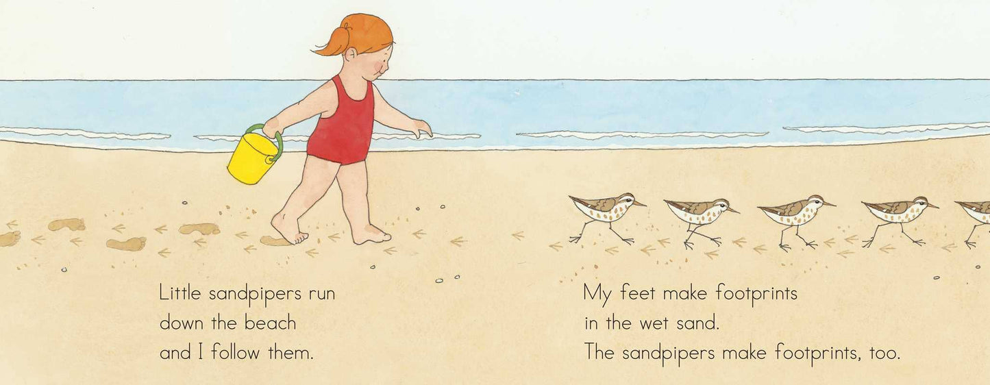 At the Beach by Anne Rockwell