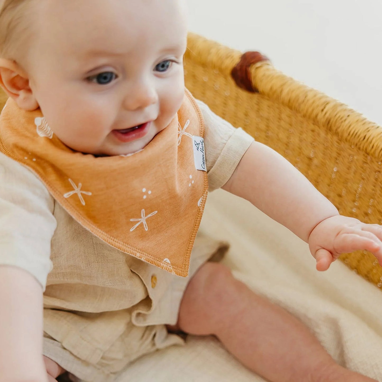 Baby Bandana Bib- Cove