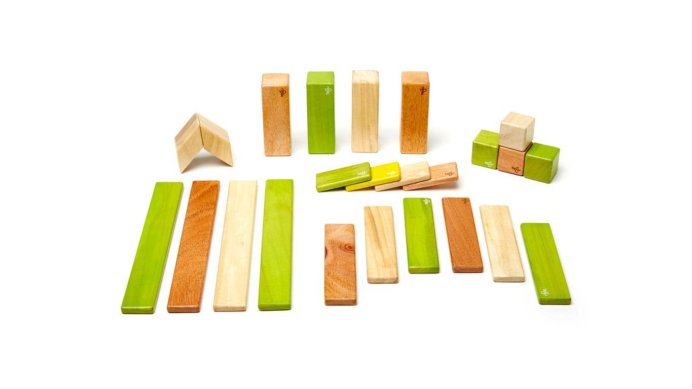 24 Piece Magnetic Wooden Block Set