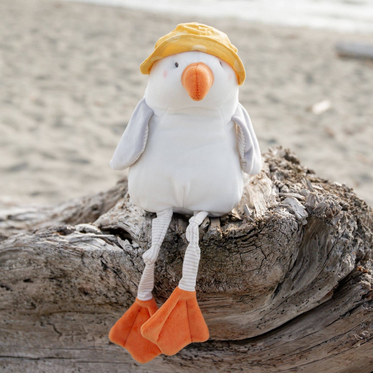 Gulliver the Seagull