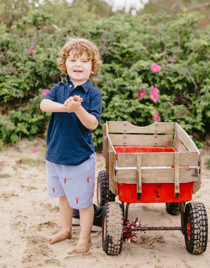 Blue Seersucker Kids Shorts with Red Embroidered Lobsters